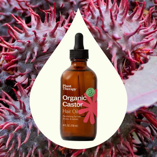 Organic Castor Hair Oil 02 Ingredient e84312eb 9ab8 479e 89aa 3ca1c6418049