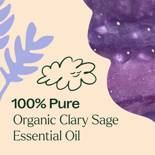 Organic Clary Sage 03