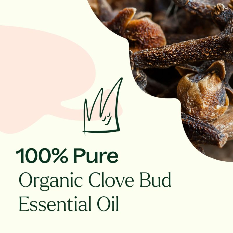 Organic Clove Bud 03 1