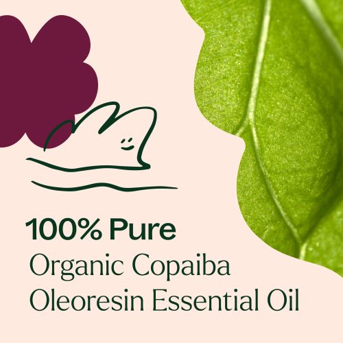 Organic Copaiba Oleoresin 03