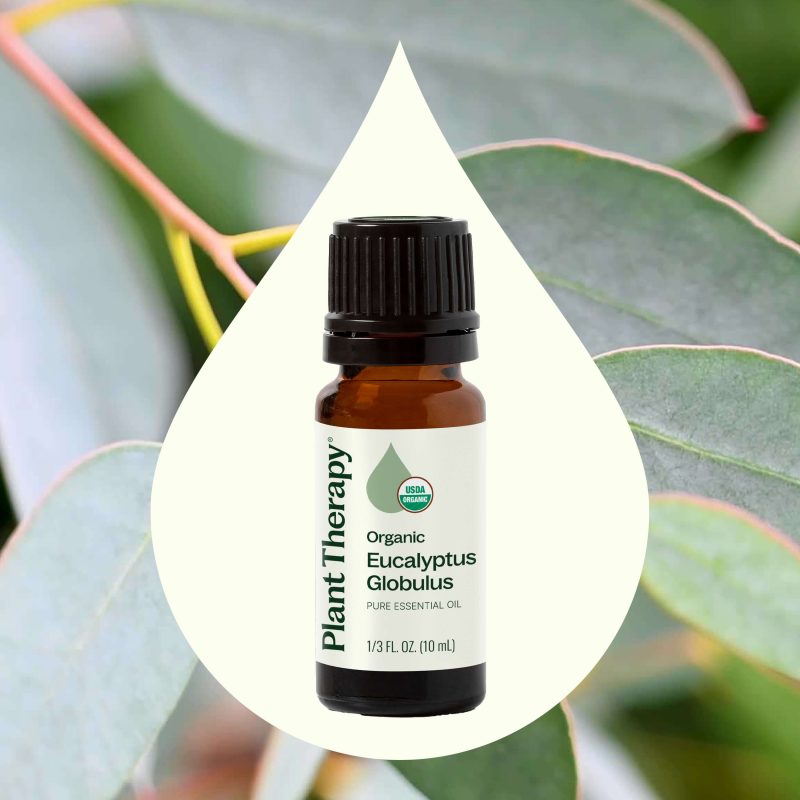 Organic Eucalyptus Globulus 02 10mL 20a3762a 8bfc 4d6f a4d8 fa4dc4c4886d