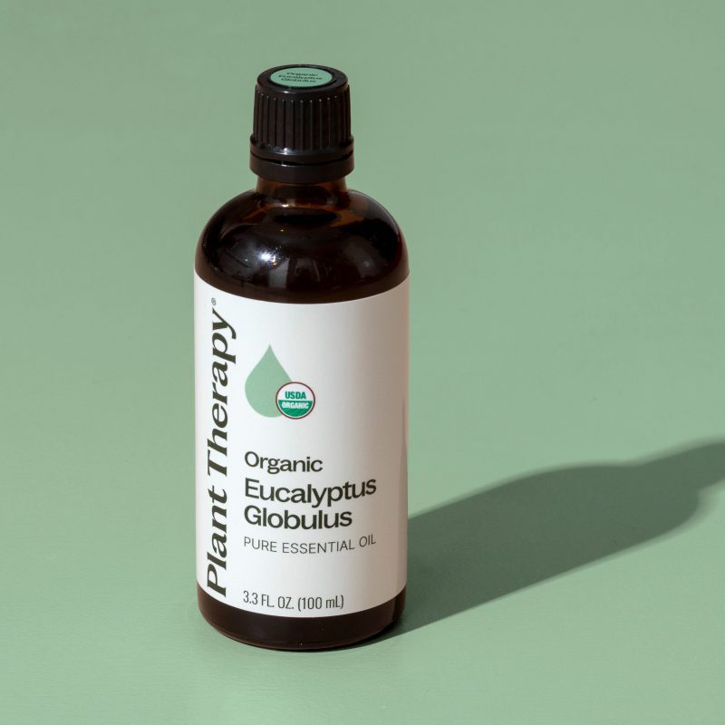 Organic Eucalyptus Globulus 11