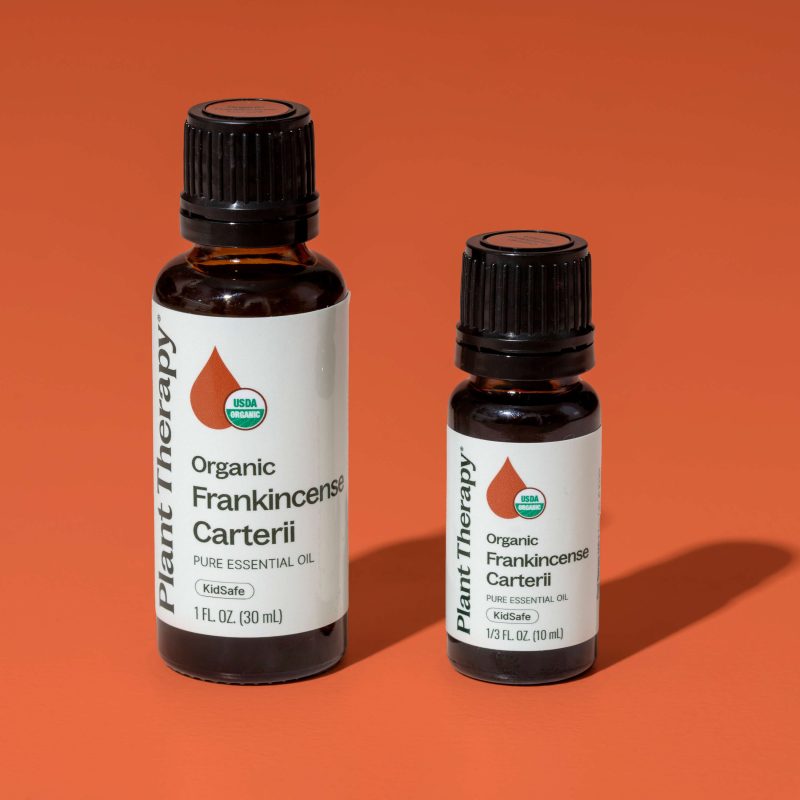 Organic Frankincense Carterii 09