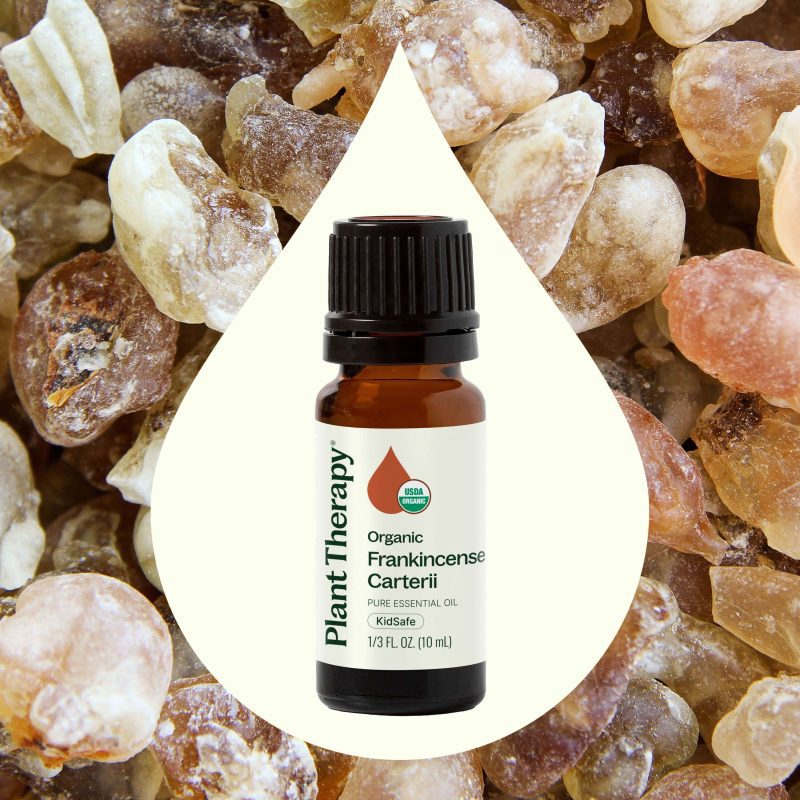 Organic Frankincense Carterii 10ml 02