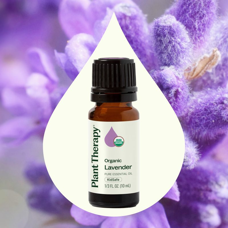 Organic Lavender 02