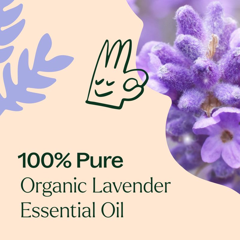 Organic Lavender 03 min