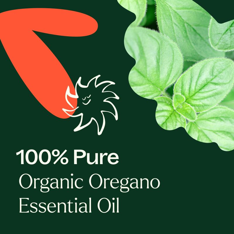 Organic Oregano 03 min