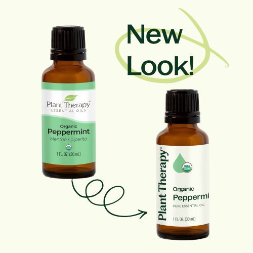 Organic Peppermint 06