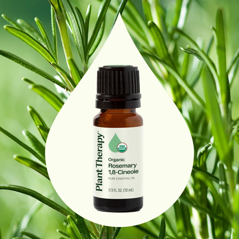 Organic Rosemary Product Image 02 67528c9c de8d 48c5 8815 4e67db943505