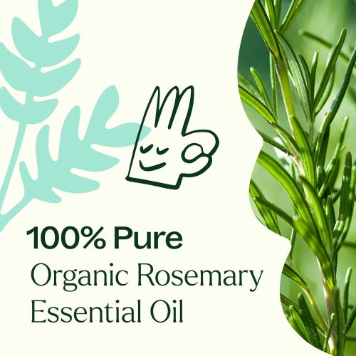 Organic Rosemary Product Image 03 min