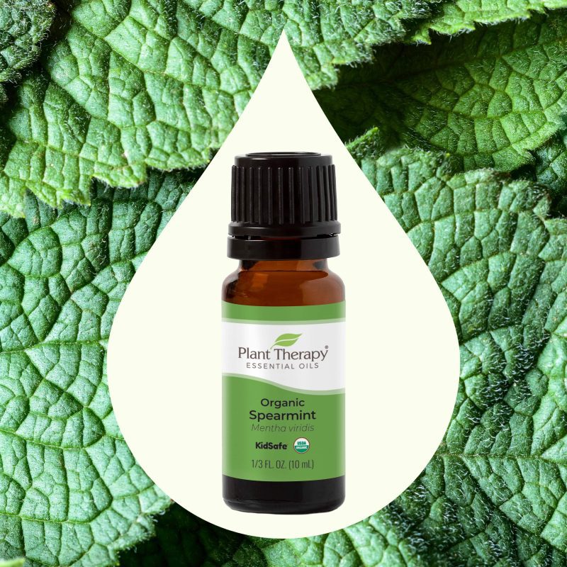 Organic Spearmint 10mL 02 min