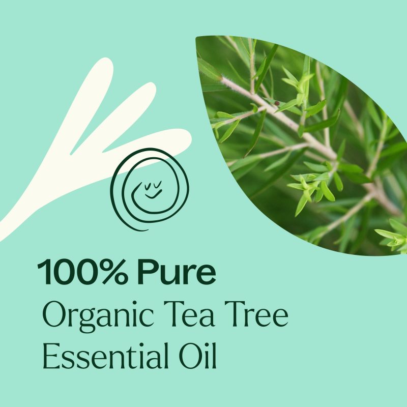 Organic TeaTree 03