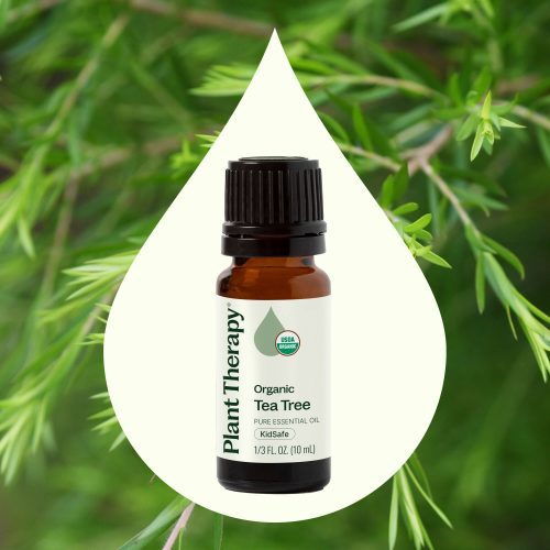 Organic TeaTree 10mL 02 705c8cff 1d42 4a05 b6f6 53d479746b98