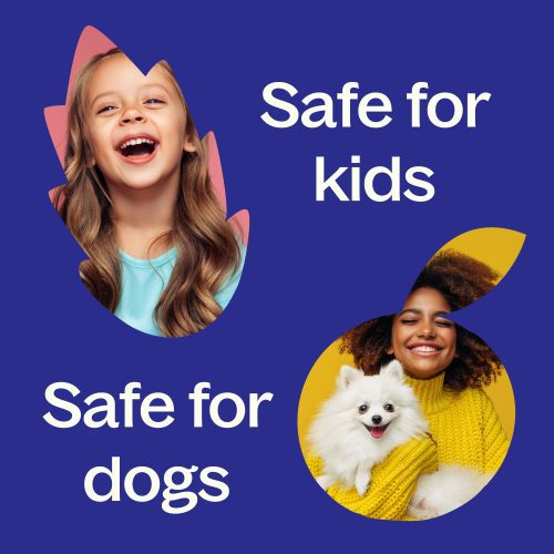 Safety Kids Dogs 1