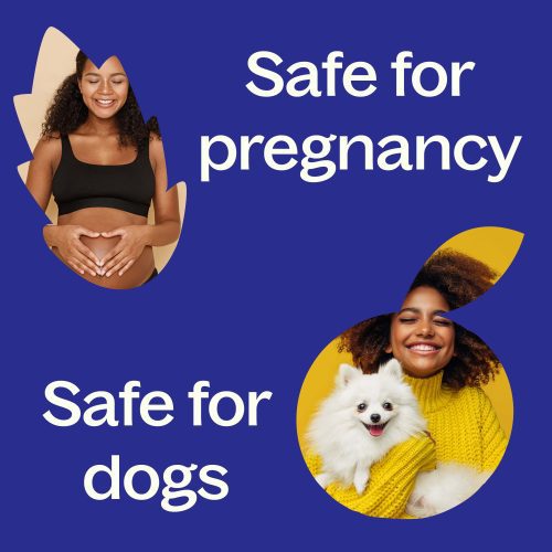 Safety Pregnancy Dogs 1 min 63d3fe62 e096 437b afe5 355a3c5597e7