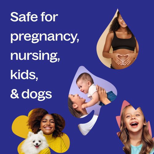 Safety Pregnancy Nursing Kids Dogs