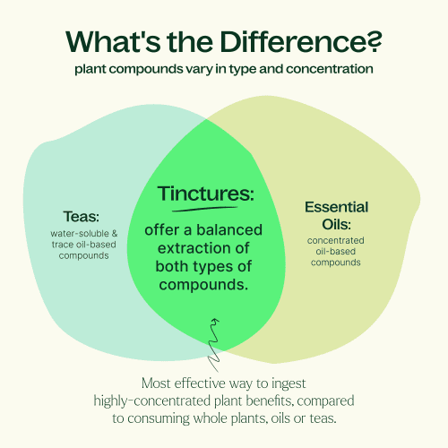 Tincture Infographic