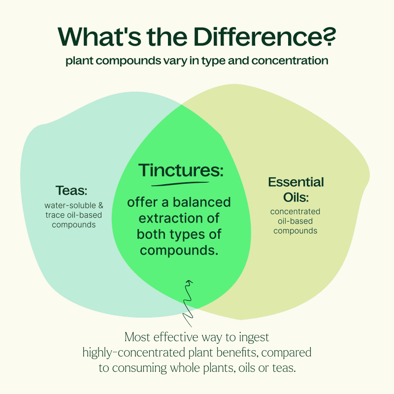 Tincture Infographic ed2e3622 a5ab 444f b40b 387fc35ba904