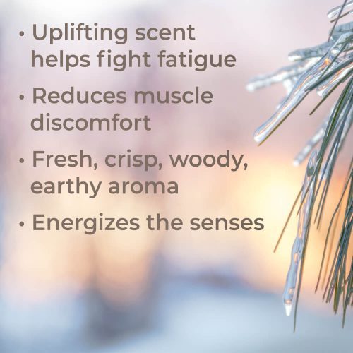 black spruce organic eo benefits