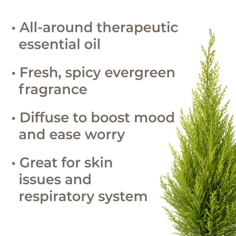 cypress eo 10ml benefits